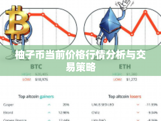 柚子币当前价格行情分析与交易策略