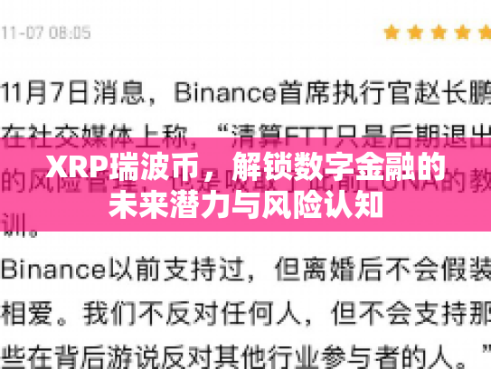 XRP瑞波币，解锁数字金融的未来潜力与风险认知
