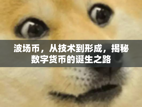 波场币，从技术到形成，揭秘数字货币的诞生之路
