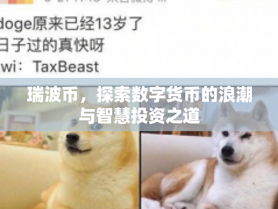 瑞波币，探索数字货币的浪潮与智慧投资之道
