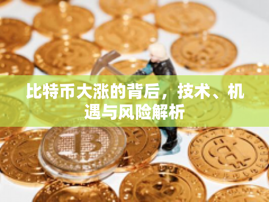比特币大涨的背后,技术、机遇与风险解析 比特币大涨的背后,技术、机遇与风险解析