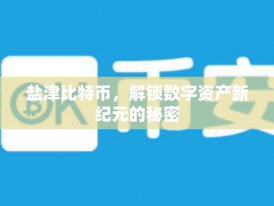 盐津比特币，解锁数字资产新纪元的秘密