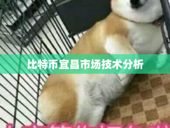 比特币宜昌市场技术分析 比特币宜昌市场技术分析