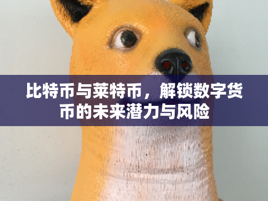 比特币与莱特币，解锁数字货币的未来潜力与风险
