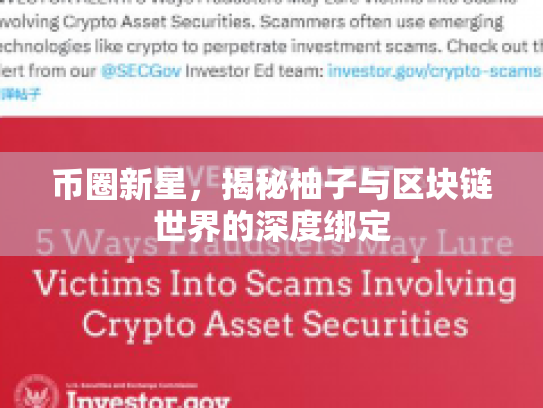 币圈新星，揭秘柚子与区块链世界的深度绑定