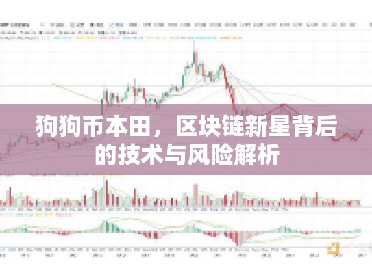 狗狗币本田，区块链新星背后的技术与风险解析