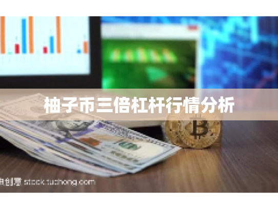 柚子币三倍杠杆行情分析