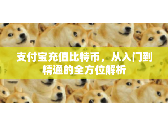 支付宝充值比特币,从入门到精通的全方位解析 支付宝充值比特币,从入门到精通的全方位解析
