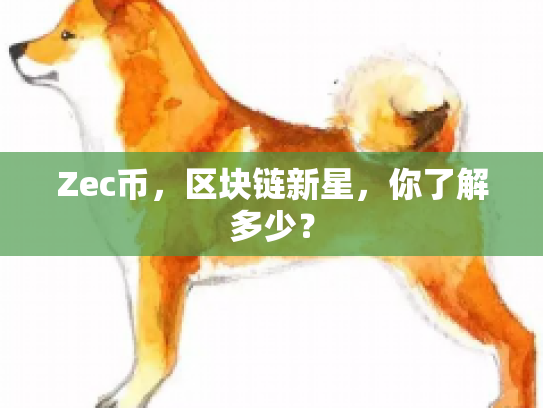 Zec币，区块链新星，你了解多少？