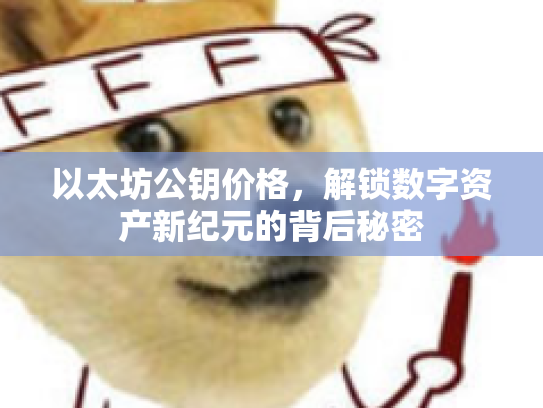 以太坊公钥价格，解锁数字资产新纪元的背后秘密