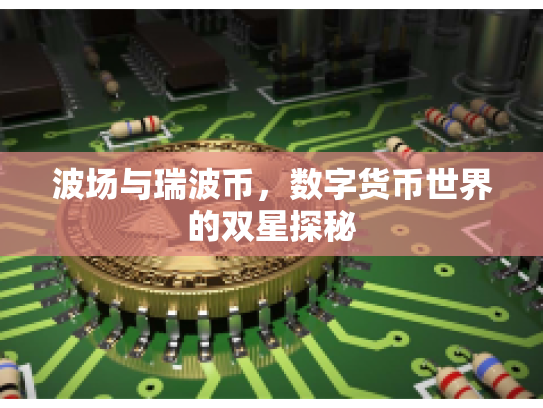 波场与瑞波币，数字货币世界的双星探秘
