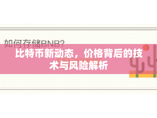 比特币新动态，价格背后的技术与风险解析