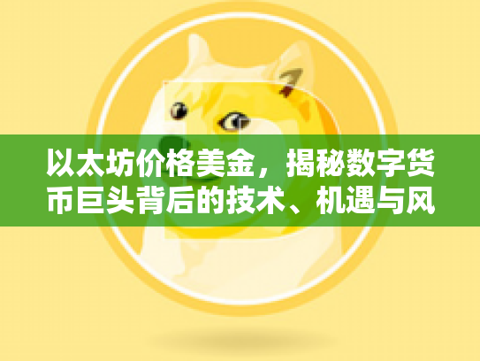 以太坊价格美金，揭秘数字货币巨头背后的技术、机遇与风险