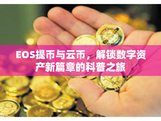 EOS提币与云币，解锁数字资产新篇章的科普之旅
