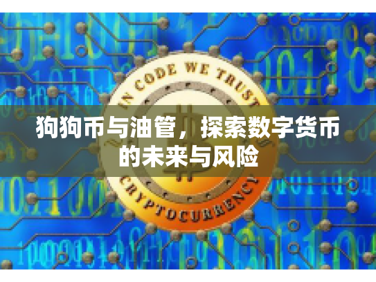 狗狗币与油管，探索数字货币的未来与风险
