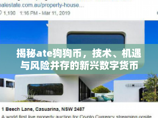 揭秘ate狗狗币,技术、机遇与风险并存的新兴数字货币 揭秘ate狗狗币,技术、机遇与风险并存的新兴数字货币