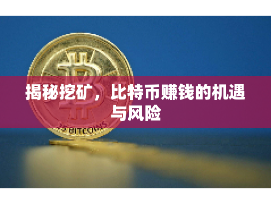 揭秘挖矿,比特币赚钱的机遇与风险 揭秘挖矿,比特币赚钱的机遇与风险
