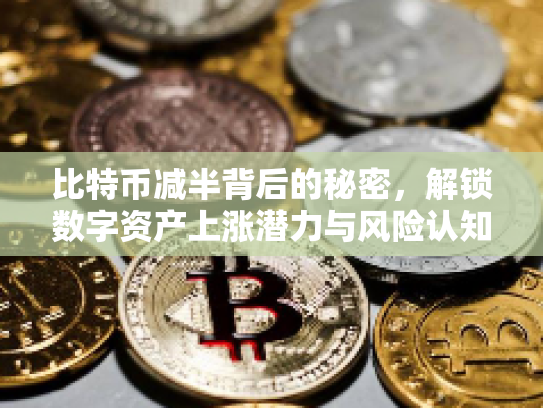 比特币减半背后的秘密，解锁数字资产上涨潜力与风险认知