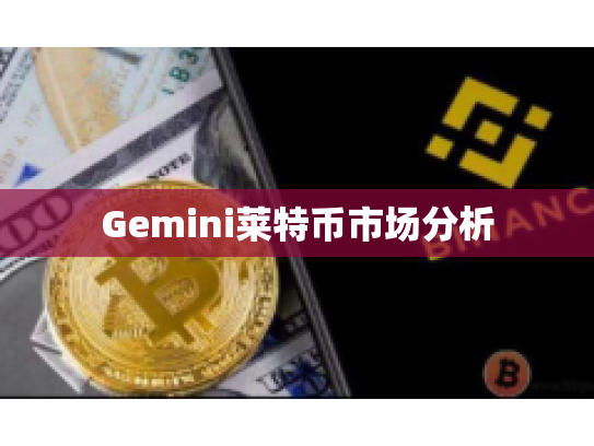 Gemini莱特币市场分析