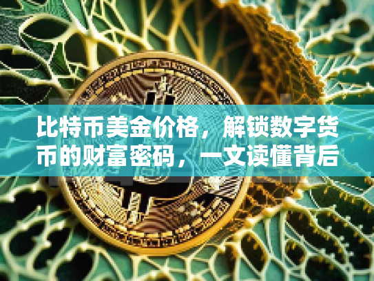 比特币美金价格，解锁数字货币的财富密码，一文读懂背后的技术与风险