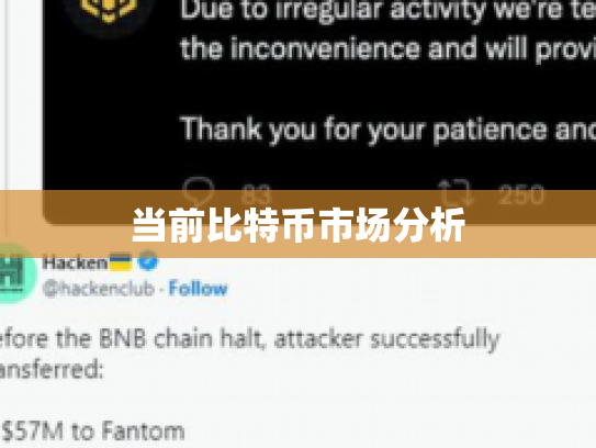 当前比特币市场分析
