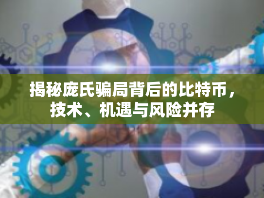 揭秘庞氏骗局背后的比特币,技术、机遇与风险并存 揭秘庞氏骗局背后的比特币,技术、机遇与风险并存