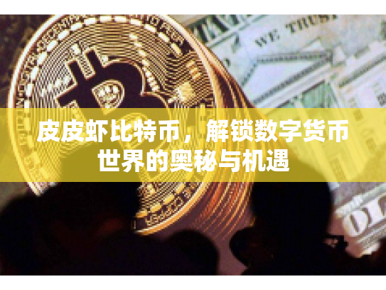 皮皮虾比特币，解锁数字货币世界的奥秘与机遇
