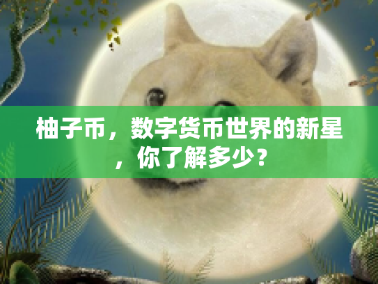 柚子币，数字货币世界的新星，你了解多少？