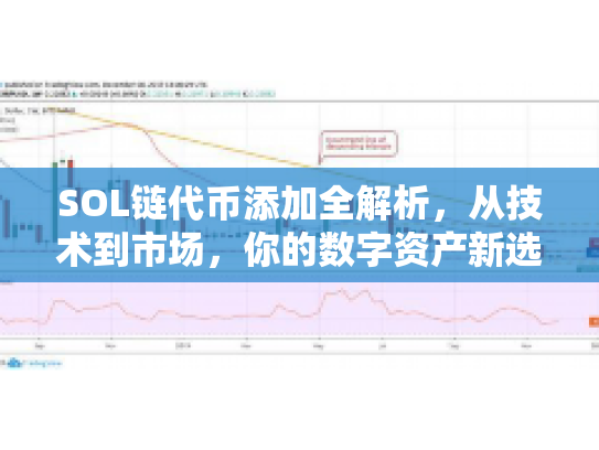 SOL链代币添加全解析，从技术到市场，你的数字资产新选择