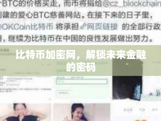 比特币加密网，解锁未来金融的密码