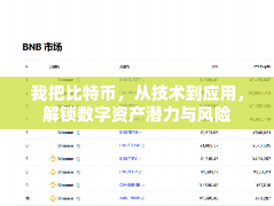 我把比特币，从技术到应用，解锁数字资产潜力与风险