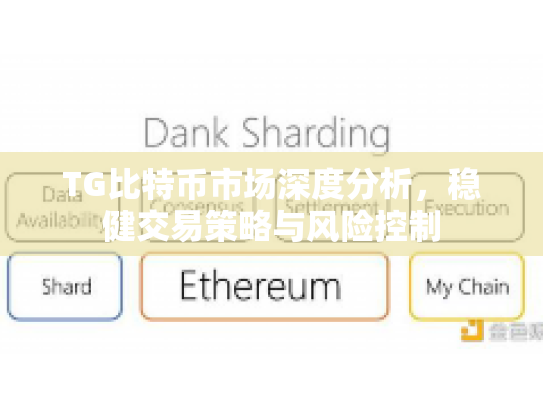 TG比特币市场深度分析，稳健交易策略与风险控制