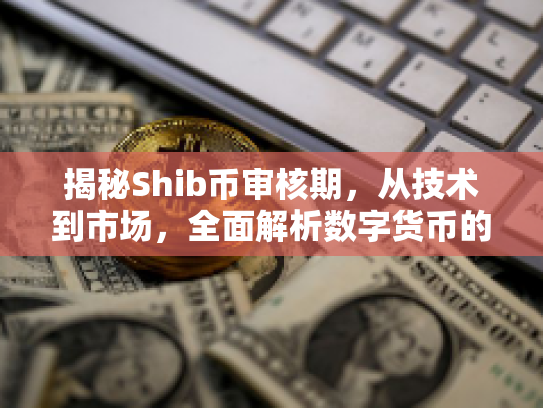 揭秘Shib币审核期,从技术到市场,全面解析数字货币的机遇与风险 揭秘Shib币审核期,从技术到市场,全面解析数字货币的机遇与风险