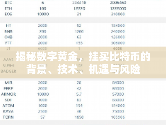 揭秘数字黄金，挂买比特币的背景、技术、机遇与风险
