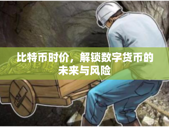 比特币时价，解锁数字货币的未来与风险