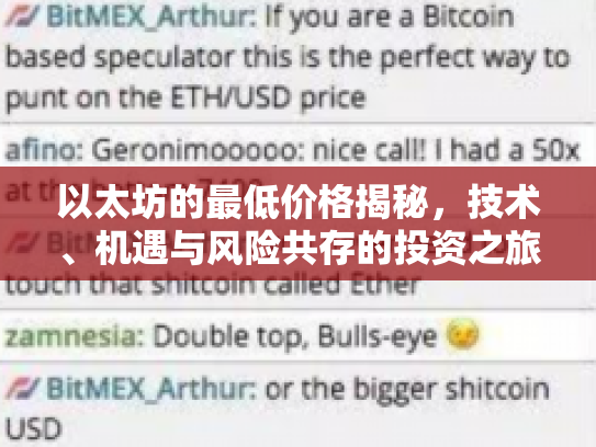 以太坊的最低价格揭秘，技术、机遇与风险共存的投资之旅
