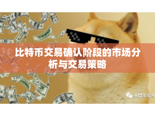 比特币交易确认阶段的市场分析与交易策略