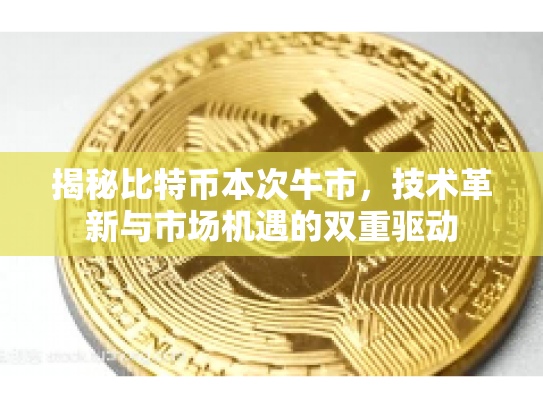 揭秘比特币本次牛市，技术革新与市场机遇的双重驱动