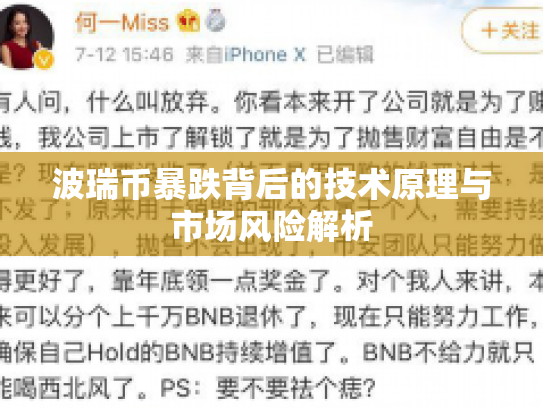 波瑞币暴跌背后的技术原理与市场风险解析