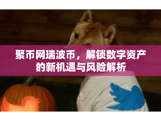 聚币网瑞波币,解锁数字资产的新机遇与风险解析 聚币网瑞波币,解锁数字资产的新机遇与风险解析