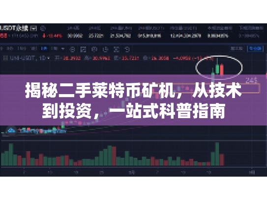 揭秘二手莱特币矿机,从技术到投资,一站式科普指南 揭秘二手莱特币矿机,从技术到投资,一站式科普指南
