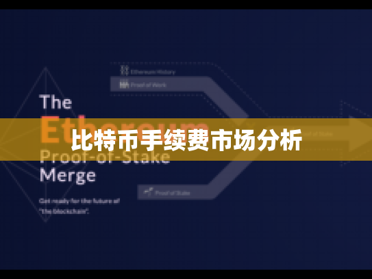 比特币手续费市场分析 比特币手续费市场分析