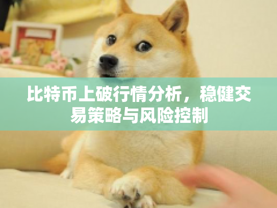 比特币上破行情分析，稳健交易策略与风险控制