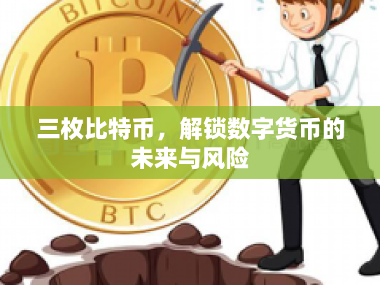 三枚比特币,解锁数字货币的未来与风险 三枚比特币,解锁数字货币的未来与风险