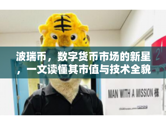 波瑞币，数字货币市场的新星，一文读懂其市值与技术全貌