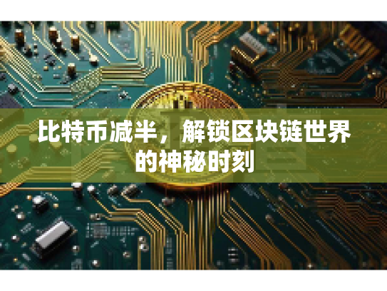 比特币减半，解锁区块链世界的神秘时刻