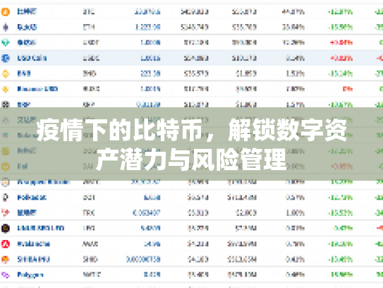 疫情下的比特币，解锁数字资产潜力与风险管理