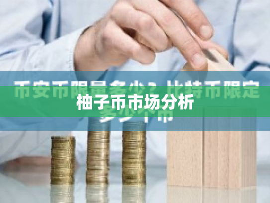 柚子币市场分析