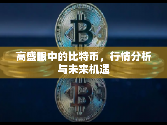 高盛眼中的比特币，行情分析与未来机遇