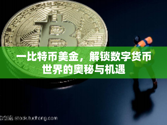 一比特币美金，解锁数字货币世界的奥秘与机遇
